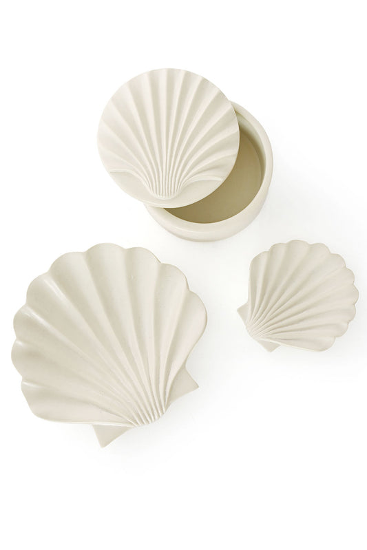 All Natural Soapstone Scallop Shell Storage Box