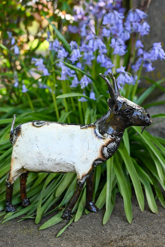 Recycled Metal African Farm Goats
