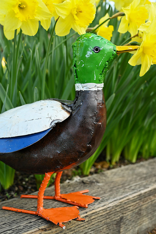 Recycled Metal Mallard Duck Sculpture