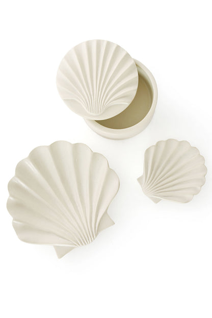All Natural Soapstone Scallop Shell Storage Box