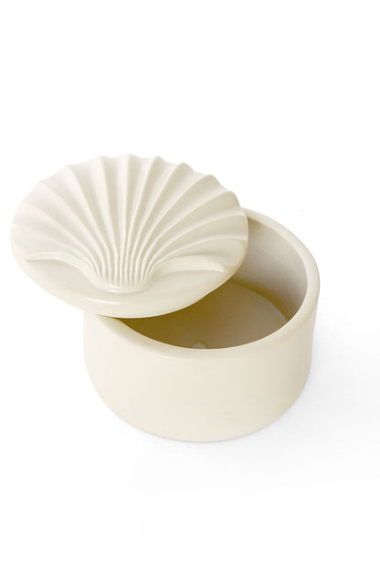 All Natural Soapstone Scallop Shell Storage Box