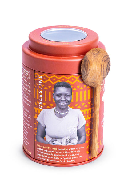 JusTea Pumpkin Spice Loose Leaf Tea