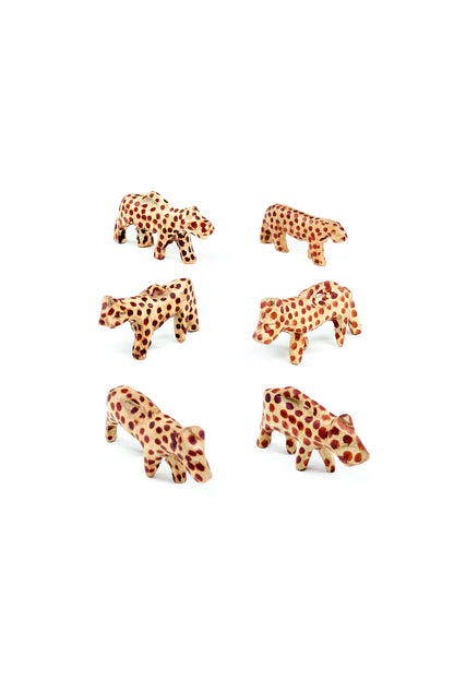 Dozen Miniature Jacaranda Leopards
