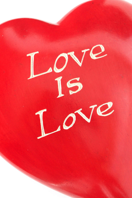 Wise Words Large Heart: Love is Love
