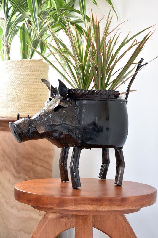 Zimbabwean Recycled Cook Pot Warthog Planters